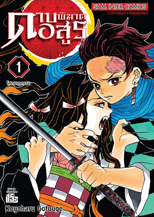 Demon slayer  Volume 1